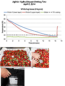 Strawberry cooling test by University of Florida/IFAS 